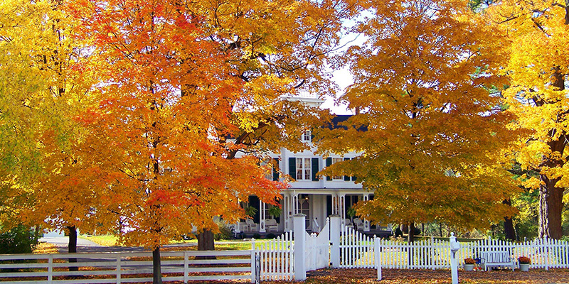 fall scene with house in background