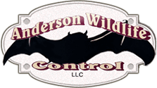 Anderson Wildlife Control